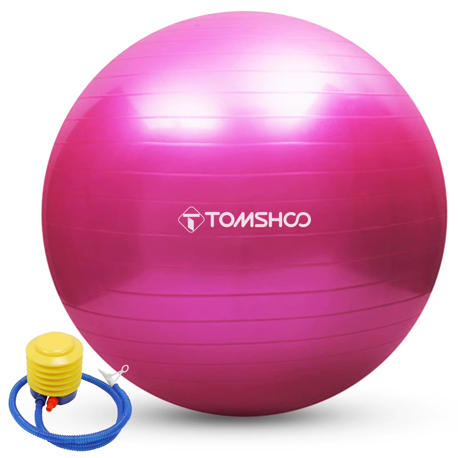 TOMSHOO 65Cm/75Cm Anti-Burst Yoga Ball Stability Balance Ball Pilates Barre Physical Fitness Exercise Ball with Air Pump